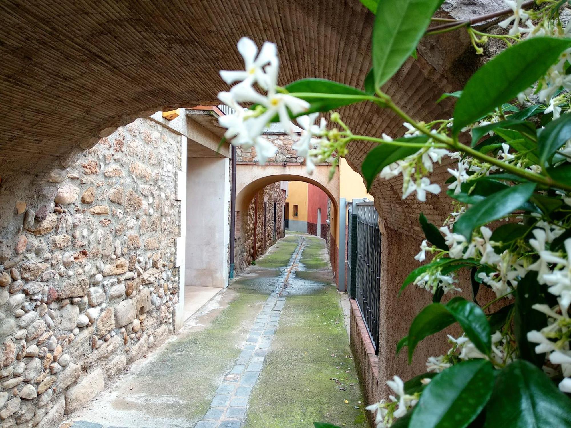 Can Girmas Casa De Turisme Rural Navata Exterior foto